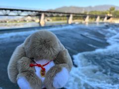 -永定河休闲森林公园