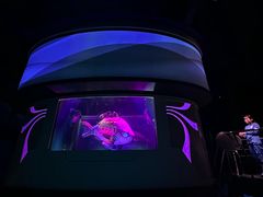 -海底巡游艇:尼莫和好友的海洋世界