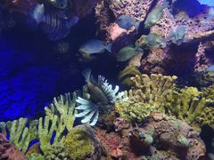 -上海海洋水族馆