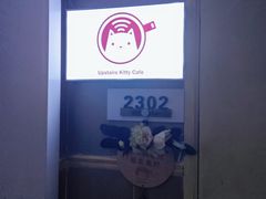 -楼上猫咖(罗湖店)