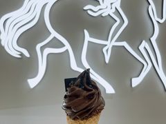 歌帝梵浓醇黑巧味软冰淇淋-GODIVA(景枫中心店)