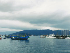 -大亚湾红树林城市湿地公园