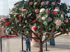 -潮镇老尾牛杂(环城西路店)