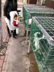 -蓝可可亲子乐园(北苑店)