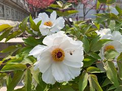 -南京市江宁方山