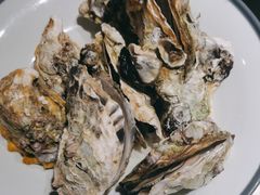 -杨氏青龙虾·羊蝎子(托乐嘉店)