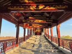 -长广溪湿地公园