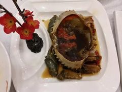 生醉红膏蟹-红城阁·上海味道(四平路店)
