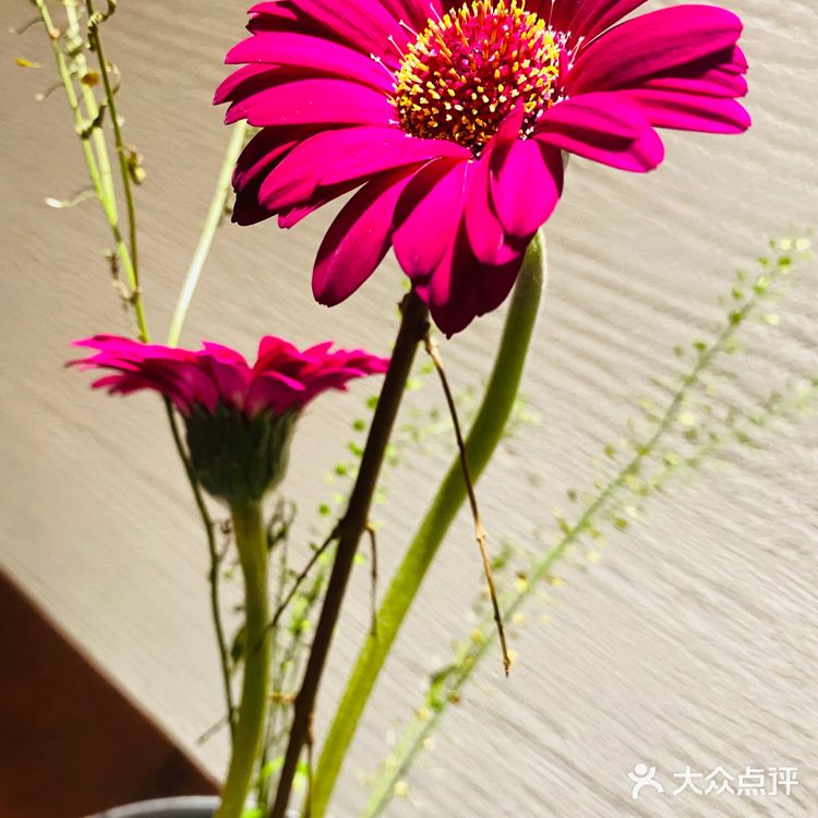 探秘汉口江滩私房菜馆！绝绝子