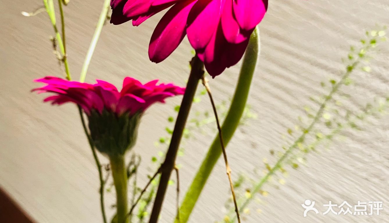 探秘汉口江滩私房菜馆！绝绝子