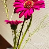 探秘汉口江滩私房菜馆！绝绝子