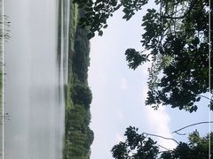 -东莞植物园