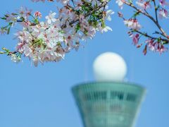 -狐尾山公园