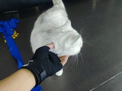 -M.S拳击泰拳馆(大学路店)