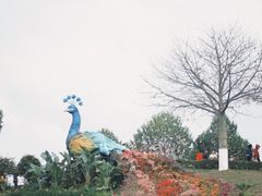 -东莞植物园