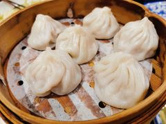 -老桐椿 · 上海大馄饨