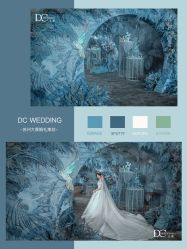 -DC大蔡婚礼策划(李公堤店)