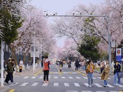 -吉林大学(南岭校区)