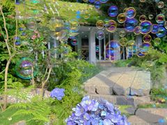 -深圳国际园林花卉博览园