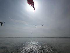 -哈素海