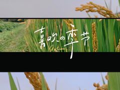 -八卦田遗址公园