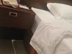 -松月湖大酒店