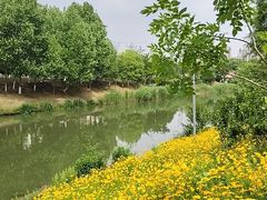 -方山风景区定林寺