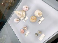 -天津古林古海岸遗迹博物馆