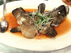 -强记海鲜·大排档(蛇口新街店)
