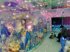 -巴黎春天(浦建店)