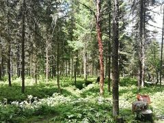 -硗碛藏寨·神木垒景区