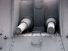 -上海吴淞炮台湾国家湿地公园