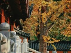 -灵谷景区
