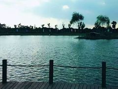 明珠湖-明珠湖天鹅苑·农家菜馆