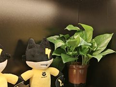 -梵猫·新养生(加州广场店)