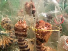 -Isla Sugbu Seafood City