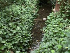 -金稼园·金平湖农家菜