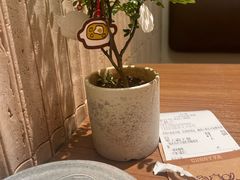 -CURRY YA 熟成咖哩專門店(深圳湾万象城店)