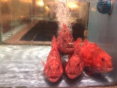 -阿伟海鲜楼·福建菜(延寿店)