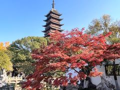 -常熟方塔园
