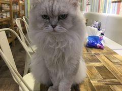 -小时光咖啡馆(开森度假森林店)
