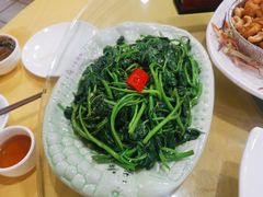 青苋菜-花好悦园(瀛洲店)