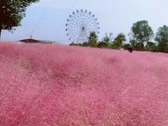 -金卉庄园
