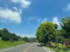 -棒棰岛宾馆景区