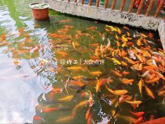 -金砂公园