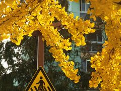 -上海交通大学(闵行校区)