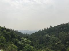 -火炉山森林公园