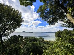 -上海市保健医疗中心