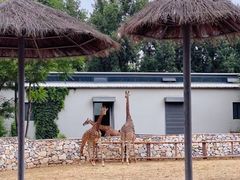 -北京野生动物园