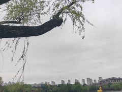 -青枫公园